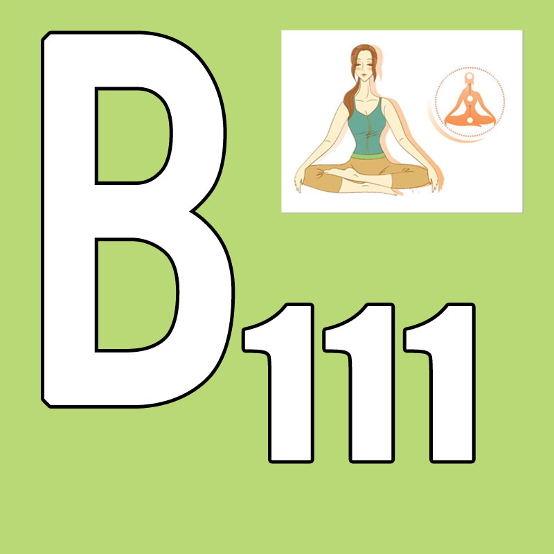 激安セール 最新発売 2026.Q1 新コース BB 111 - Pilates Yoga And Tai Chi のレビューと価格